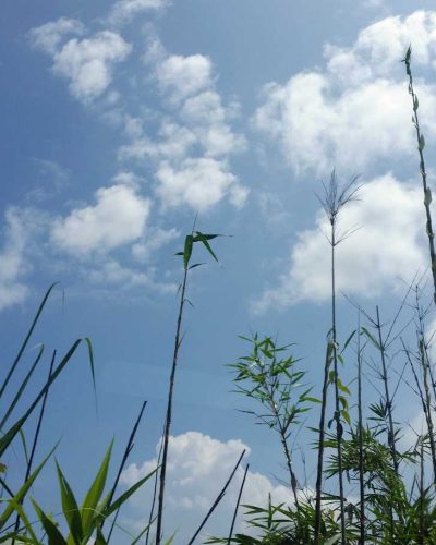 BD_Sky