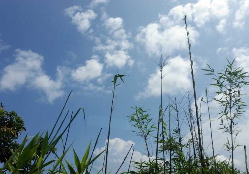 BD_Sky
