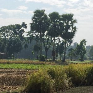 BD_Village_LScape