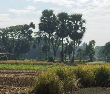 BD_Village_LScape