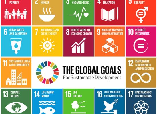 SDG_Governance