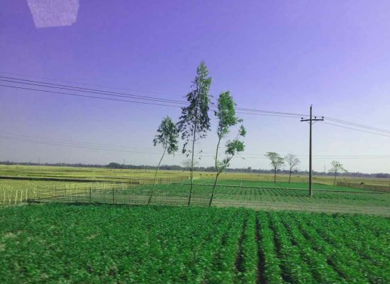 Sus_Agric_1